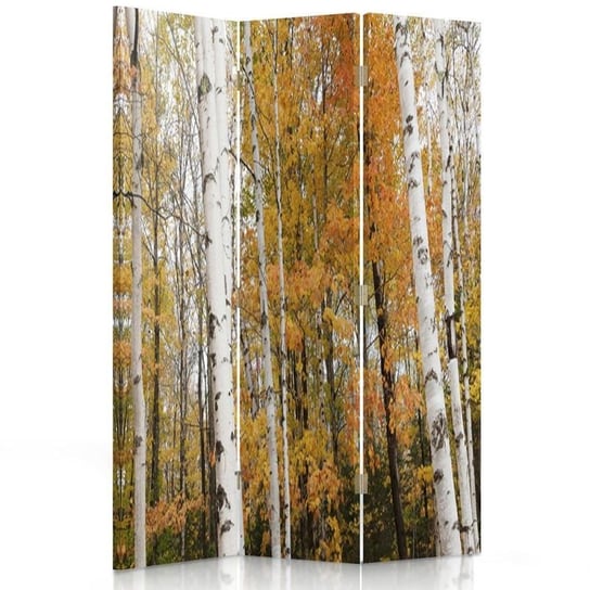 Parawan pokojowy FEEBY, Brzozowy las jesienią, Dwustronny 110x170cm 3-częściowy Feeby