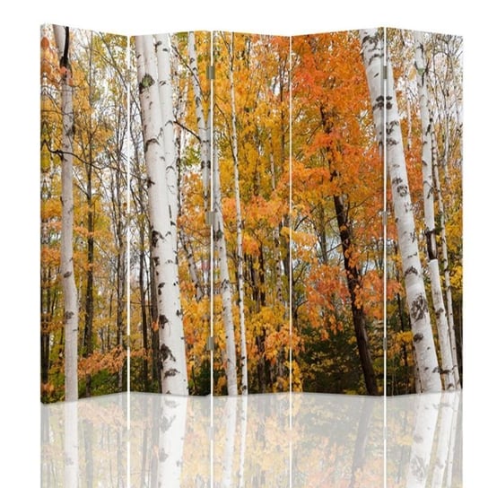 Parawan pokojowy FEEBY, Brzozowy las jesienią, Dwustronny 180x170cm 5-częściowy Feeby