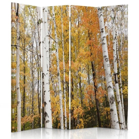Parawan pokojowy FEEBY, Brzozowy las jesienią, Obrotowy 145x170cm 4-częściowy Feeby