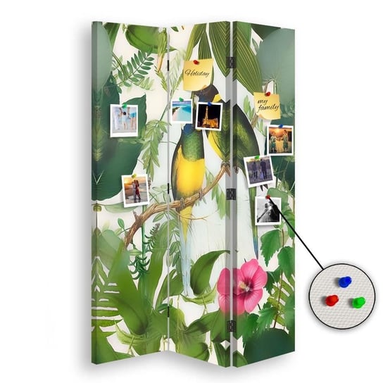 Parawan pokojowy FEEBY, Kolorowe ptaki w dżungli, Dwustronny PIN 110x170cm 3-częściowy Feeby