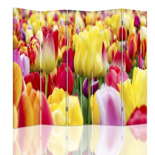 Parawan pokojowy FEEBY, Kolorowe tulipany 2, Dwustronny 180x170cm 5-częściowy Feeby