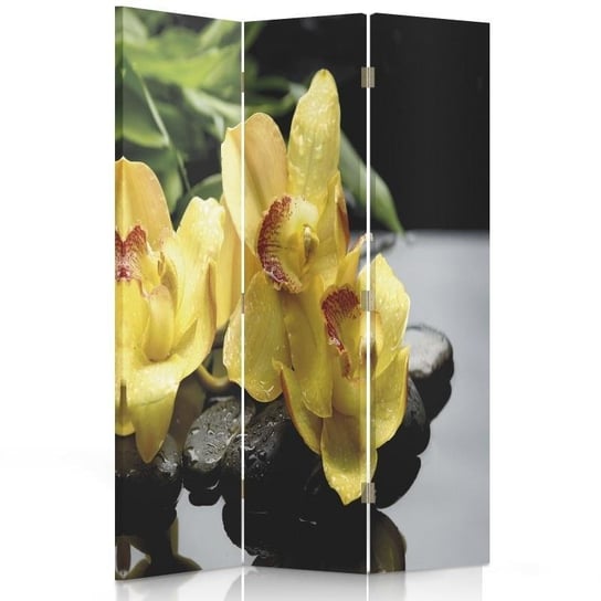Parawan pokojowy FEEBY, Kwiatek, Dwustronny 110x170cm 3-częściowy Feeby
