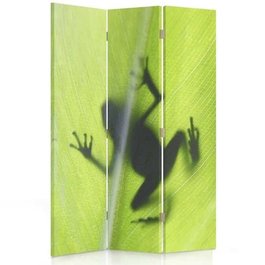 Parawan pokojowy FEEBY, Żaba na zielonym lisciu, Dwustronny 110x170cm 3-częściowy Feeby