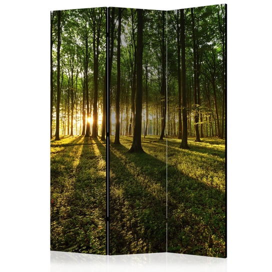 Parawan - Poranek w lesie [Room Dividers] 135x172 Akustyczny Płótno flizelinowe 170 g/mÂ˛ ARTGEIST