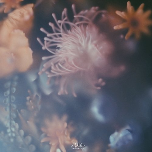 Parfum Raine Cloud