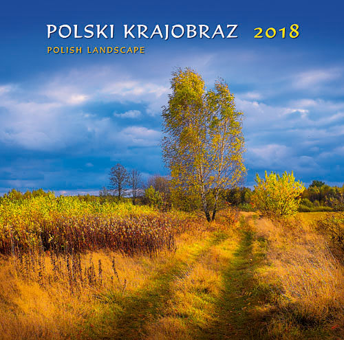 Parma Press, kalendarz ścienny 2018, Polski krajobraz Parma Press