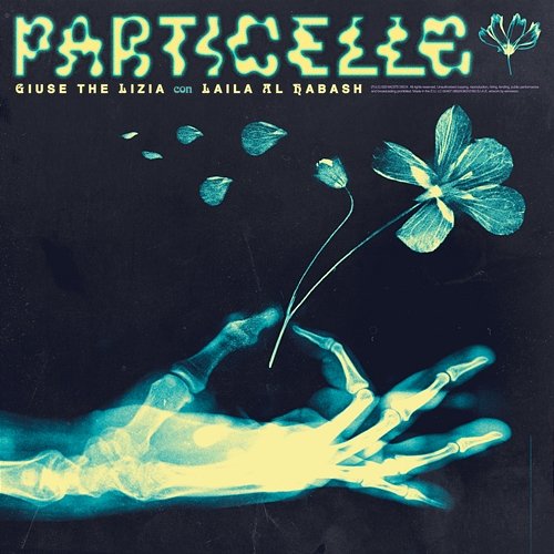 Particelle Giuse The Lizia, Laila Al Habash