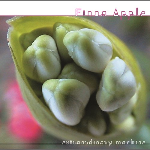Parting Gift Fiona Apple