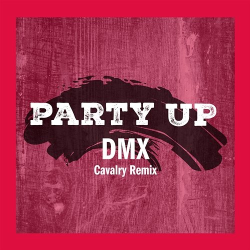Party Up DMX