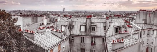 Paryż Roof Tops - plakat 158x53 cm GBeye