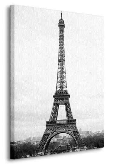Paryż, Wieża Eiffel - Obraz na płótnie Nice Wall