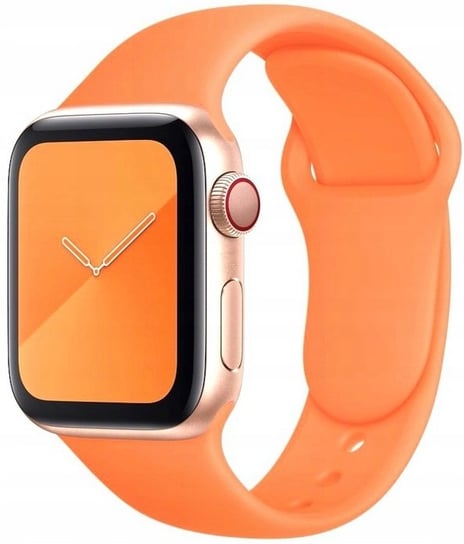 Pasek Do Apple Watch 3 4 5 6 7 Se 42 44 45 Mm Phonelove