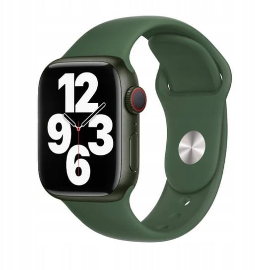 Pasek Do Apple Watch 4 5 6 7 Se 42/44/45 Pasjo24