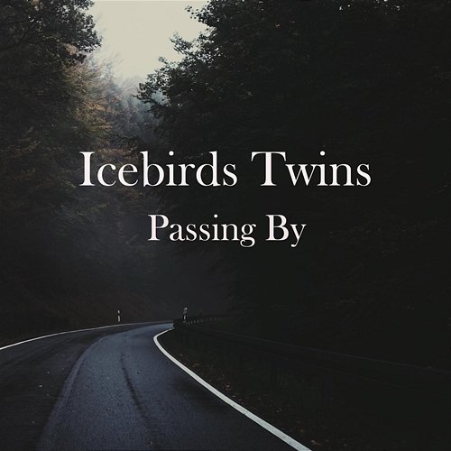 Passing By Icebird Twins