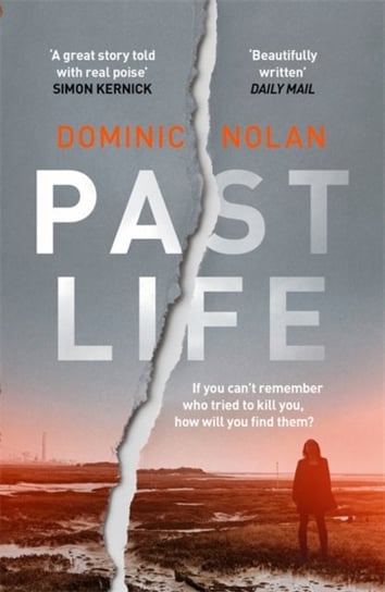Past Life: an astonishing and gripping crime thriller Dominic Nolan
