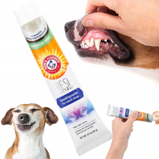 PASTA do zębów dla psa profesjonalna na świeży oddech i zdrowe zęby Inna marka