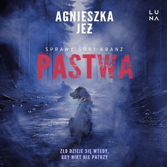 Pastwa - audiobook Jeż Agnieszka