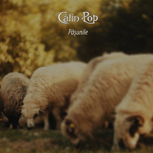 Pășunile Calin Pop