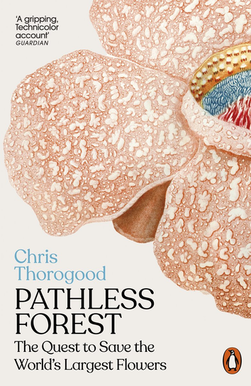 Pathless Forest Chris Thorogood