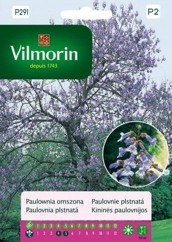 Paulownia omszona Cesarskie drzewo 0.1 g VILMORIN Inna marka