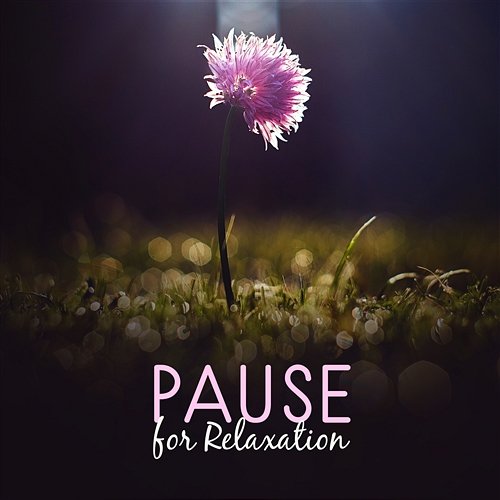 Pause for Relaxation: Stay Calm, Heal Your Mind & Soul, Stress Reduce and Anger Control, Feel Serenity & Calmness Serenity Music Zone