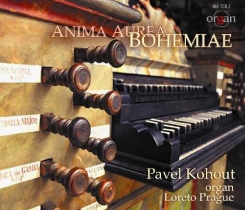 Pavel Kohout - Anima Aurea Bohemiae Various Artists