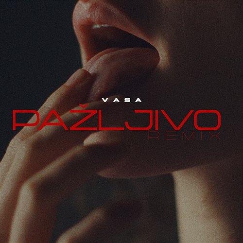 Pažljivo Vasa