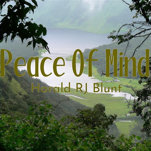 Peace of Mind Harald RJ Blunt