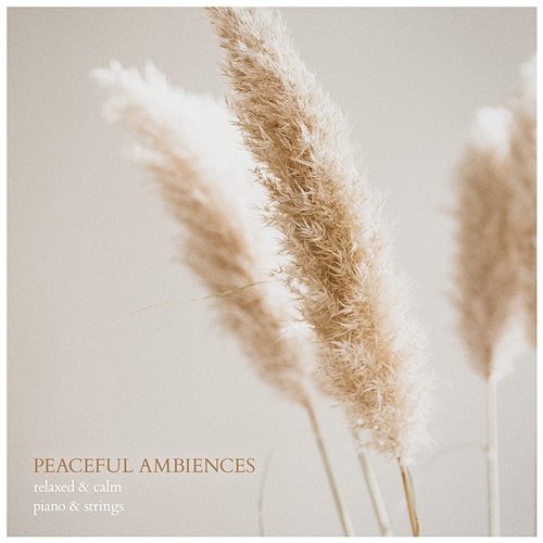 Peaceful Ambiences Dan Foster
