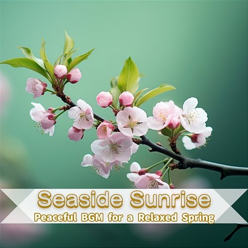 Peaceful Bgm for a Relaxed Spring Seaside Sunrise