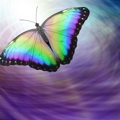Peaceful Butterfly CreativeWaves Energy Healer Pure Healing Waves Spiritual Flower
