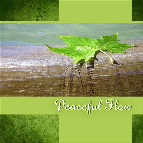 Peaceful Flow: Soul Birth, Constant Connection, Meditation & Yoga, Vinyasa Practice, Experience of Spiritual Silence Mantra Yoga Music Oasis