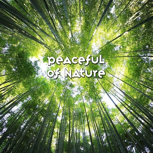 Peaceful of Nature: Ambient Sounds Collection for Relaxation Meditation, Reduce Stress, Soothing Songs for Deep Sleep Universe of Nature Orchestra