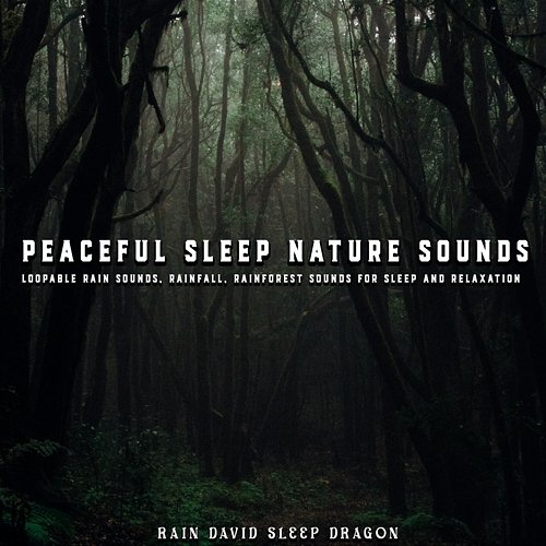 Peaceful Sleep Nature Sounds, Loopable Rain Sounds, Rainfall, Rainforest Sounds for Sleep and Relaxation Rain David Sleep Dragon