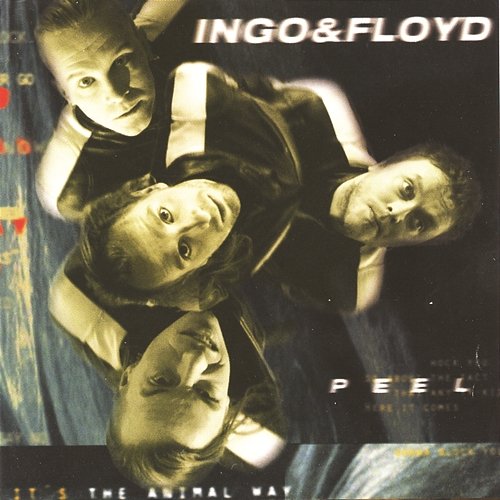 Peel Ingo & Floyd
