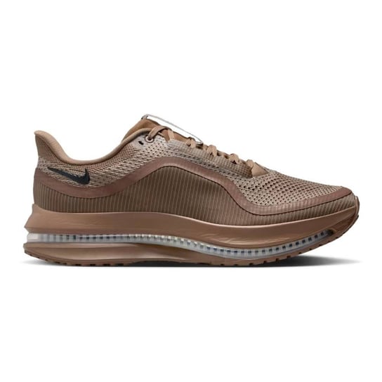 Pegasus Premium Nike
