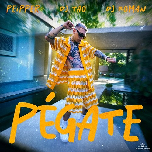 PÉGATE DJ Tao & DJ Roman, Peipper