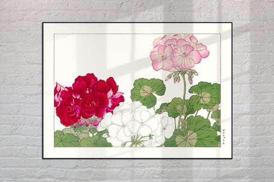 Pelargonia Geranium Plakat Japonia Grafika Vintage 30x40 cm (A3) / DodoPrint Dodoprint