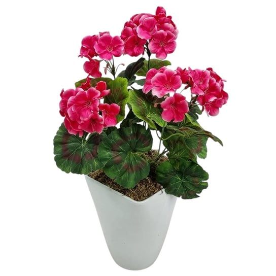 PELARGONIA Sztuczna BUKIET Bez Doniczki Ma y 2295 3b R owa Inna pelargonia-sztuczna-bukiet-bez-doniczki-ma-y-2295-3b-r-owa-inna