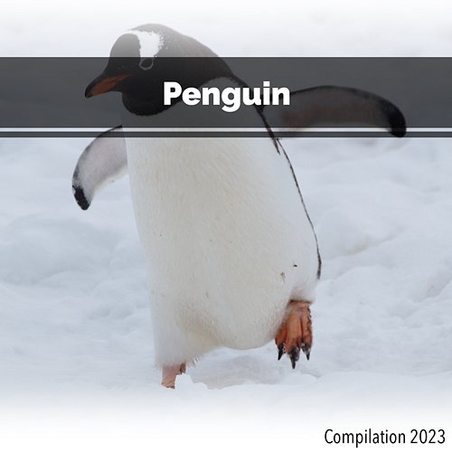 Penguin Compilation 2023 Various Artists