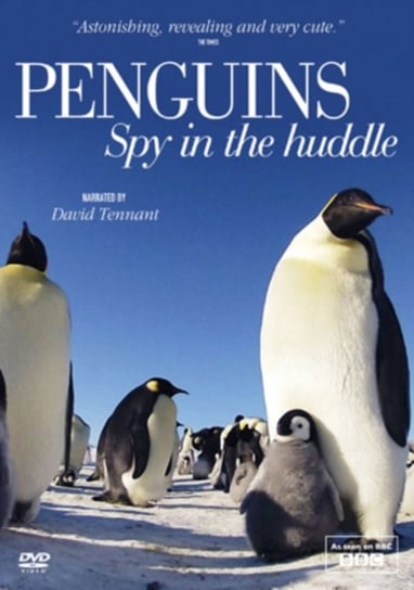 Penguins: Spy in the Huddle (brak polskiej wersji językowej) Acorn Media UK