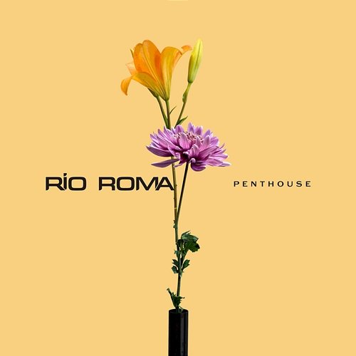 Penthouse Río Roma