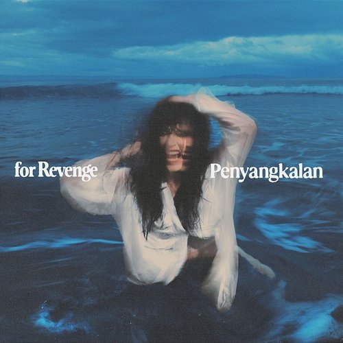 Penyangkalan For Revenge