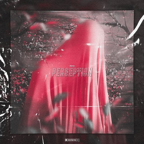 PERCEPTION chxrry4