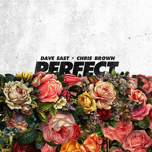 Perfect Dave East feat. Chris Brown