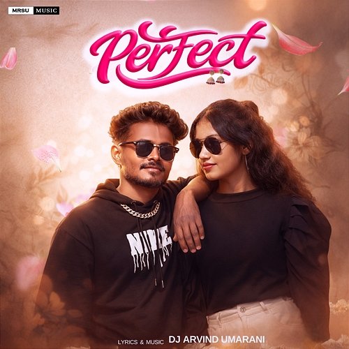 Perfect Dj Arvind Umarani
