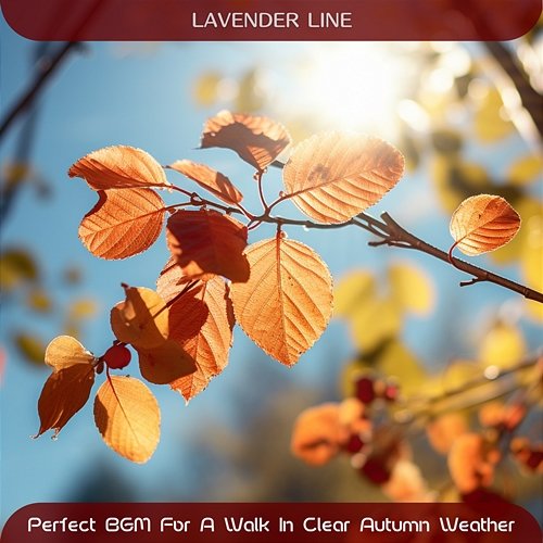 Perfect Bgm for a Walk in Clear Autumn Weather Lavender Line