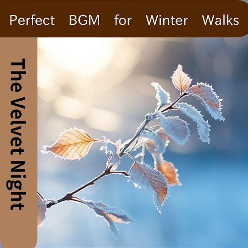 Perfect Bgm for Winter Walks The Velvet Night