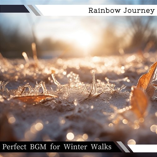 Perfect Bgm for Winter Walks Rainbow Journey