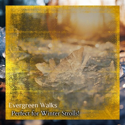 Perfect for Winter Strolls ! Evergreen Walks